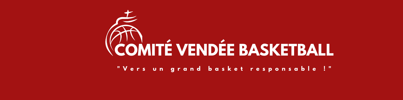 Bannière Comité Départemental de Vendée de BasketBall