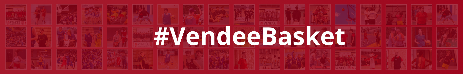 Bannière Comité Départemental de Vendée de BasketBall