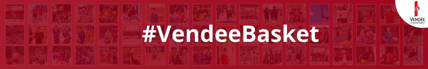 Bannière Comité Départemental de Vendée de BasketBall